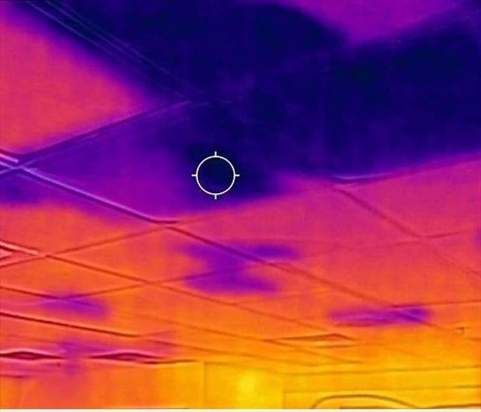 Our infrared camera detects hard to see moisture